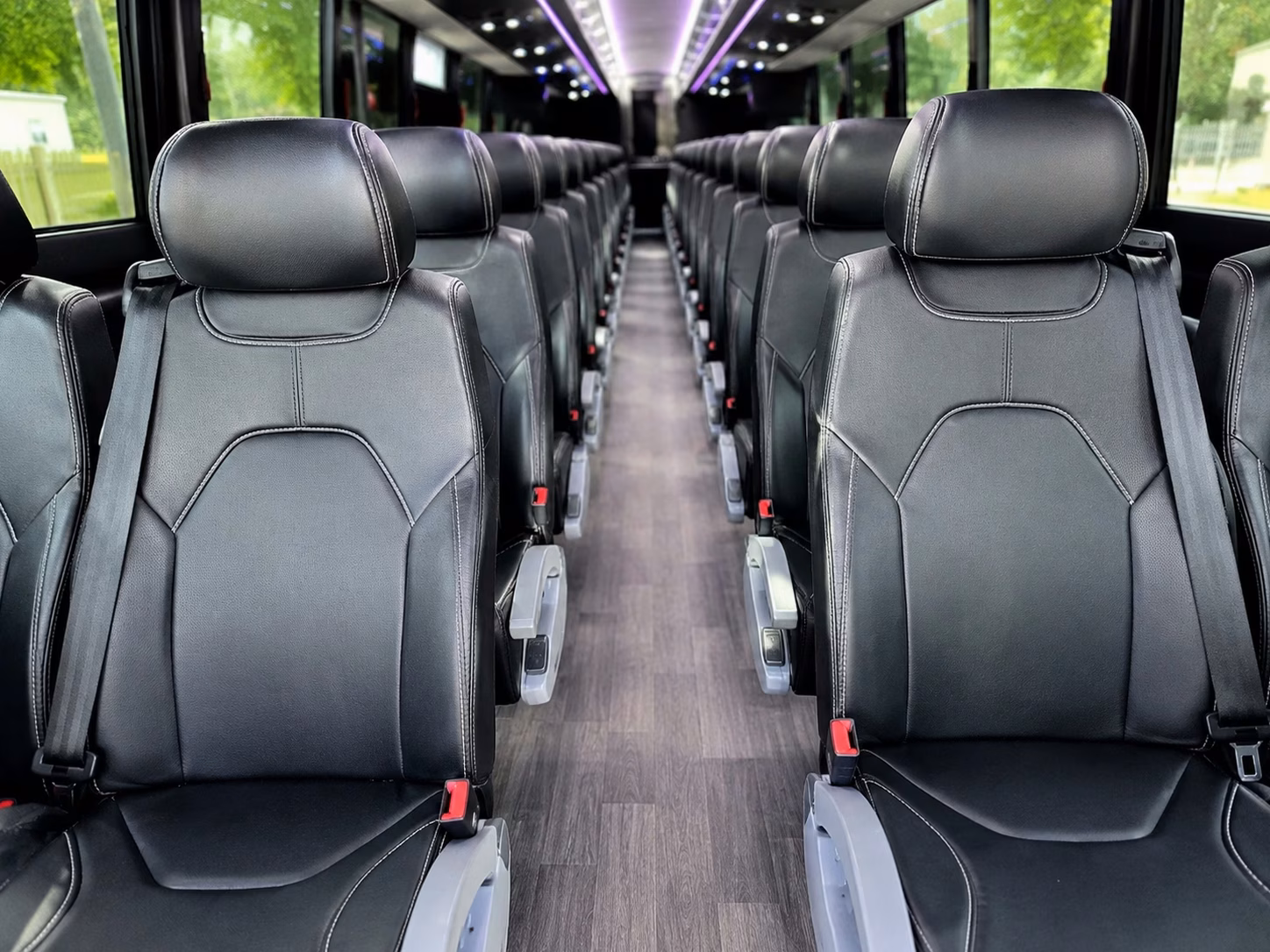 cambridge charter bus rental interior