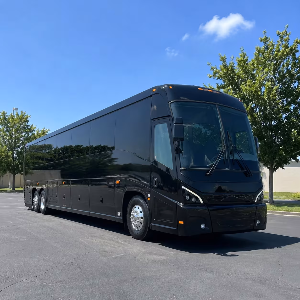 cambridge charter buses for large wedding guest lists